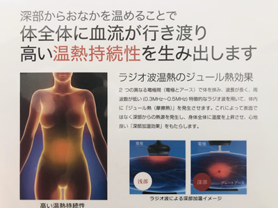 体の中から暖まるので体に優しい